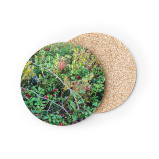 Wild Berry Foliage Coasters | Cork-Backed Round Drink Coasters