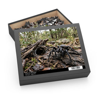 Funnel-Web Spider Puzzle 5