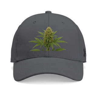Cannabis Bud Hat | Cap 3