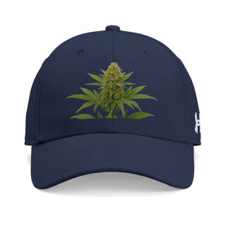 Cannabis Bud Hat | Cap 2