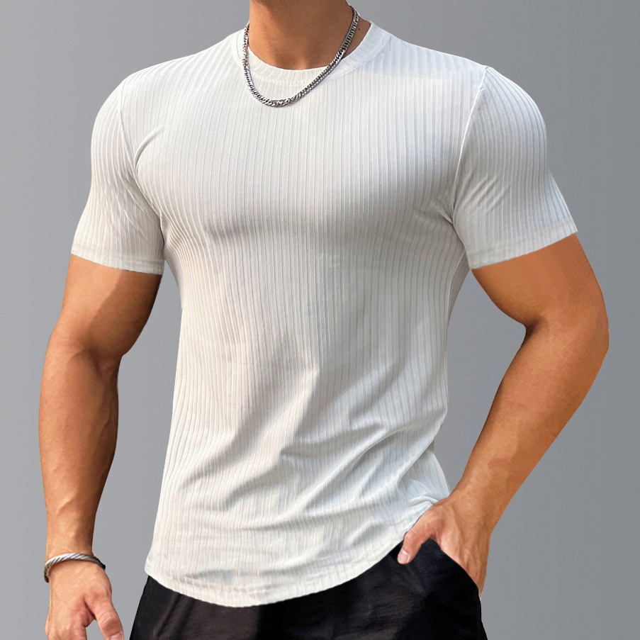 Men's Slim Fit Stretch Gym T-Shirt | Striped Quick-Dry Base Layer