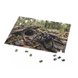 Funnel-Web Spider Puzzle 9