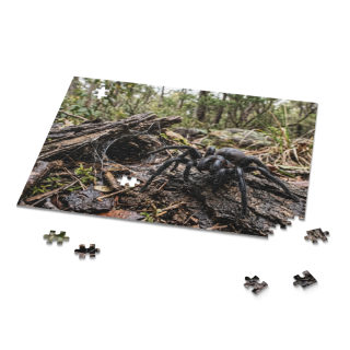 Funnel-Web Spider Puzzle 8
