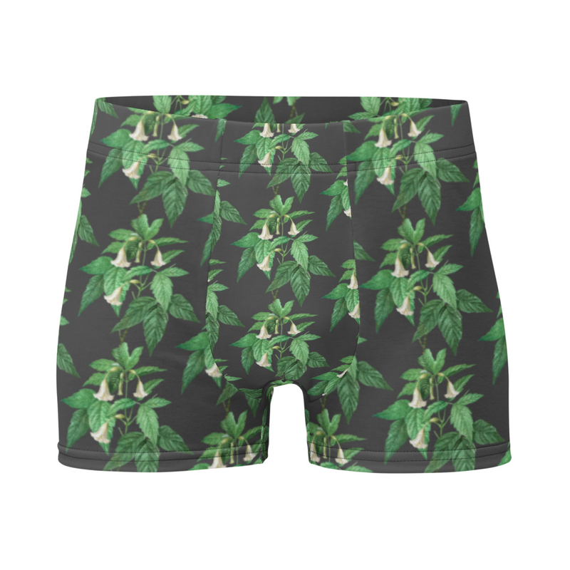Boxer Briefs