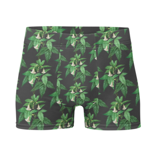 Boxer Briefs