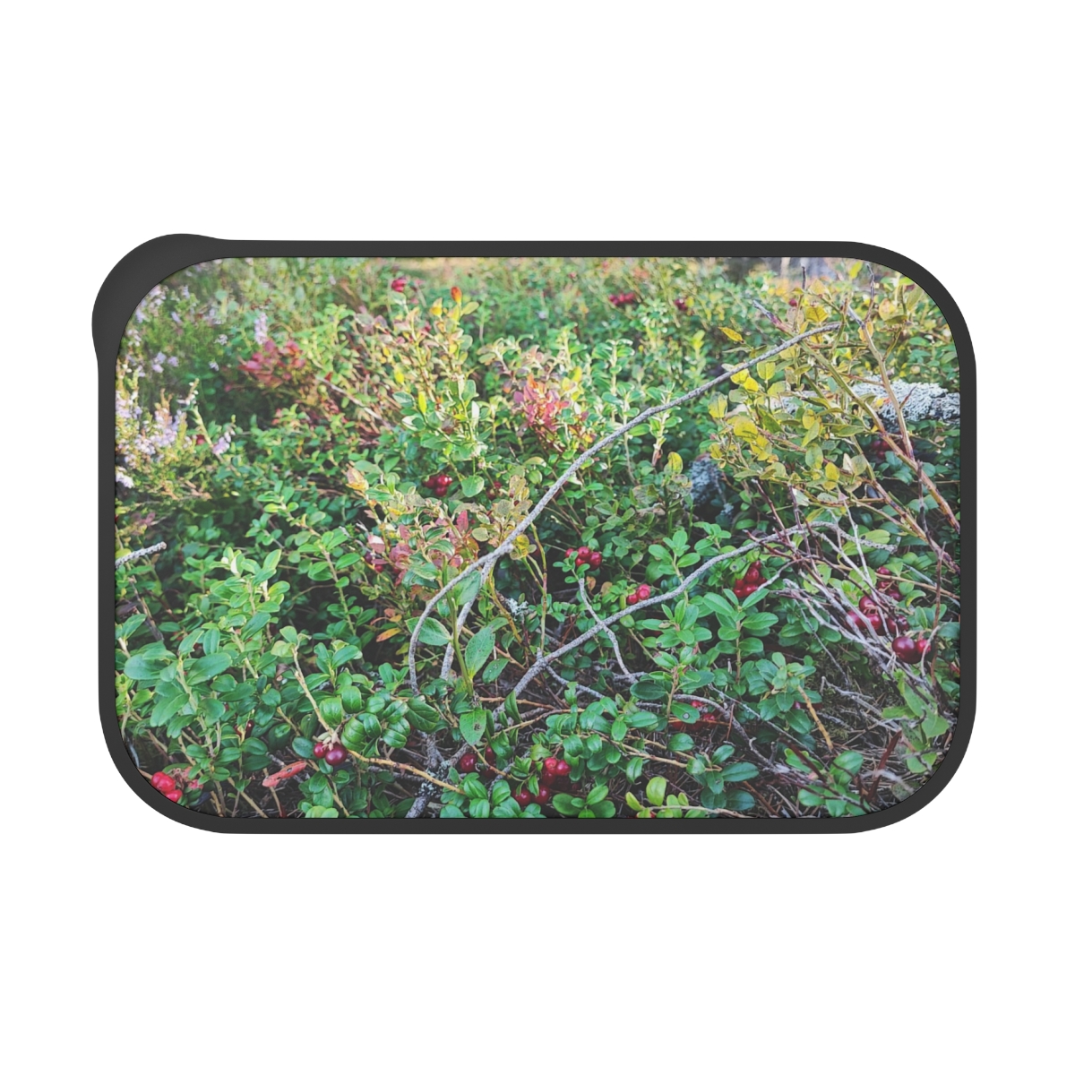 Wild Berry Forage PLA Bento Box with Band and Utensils | Nature Photo Lunchbox