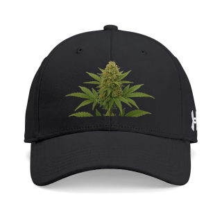Cannabis Bud Hat | Cap 1