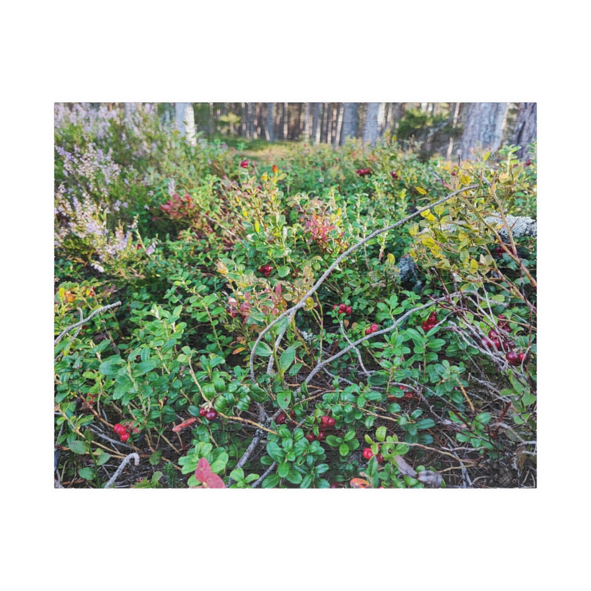 Lingonberry Forest Puzzle, 520 Pieces