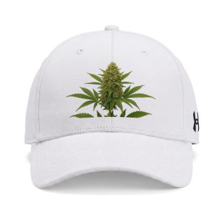 Cannabis Bud Hat | Cap 4
