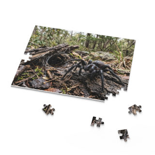 Funnel-Web Spider Puzzle 1
