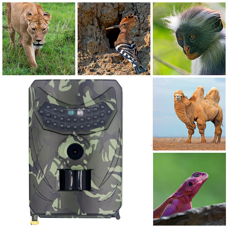 PR100 Trail Camera with Infrared Sensor, 12MP