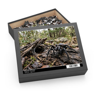 Funnel-Web Spider Puzzle 6