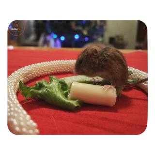 Mouse pad "With mouse"