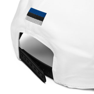 Adidas Dad Hat EST FLAG 10