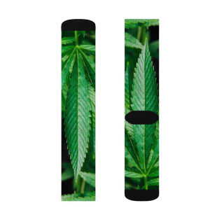 Cannabis leaf socks 11