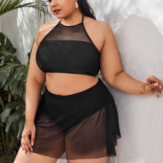 Plus Size Mesh bikini set 2
