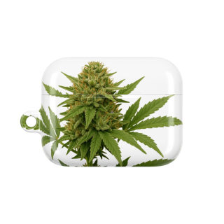 Cannabis Leaf AirPods Case 2