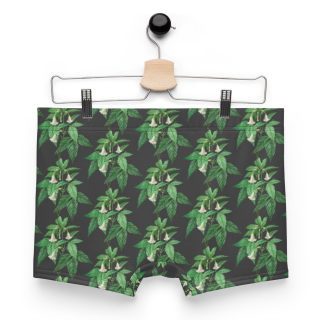 Boxer Briefs 4