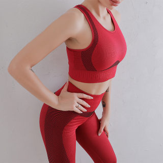 Women's Two-Piece Seamless Sleeveless Yoga Set 6