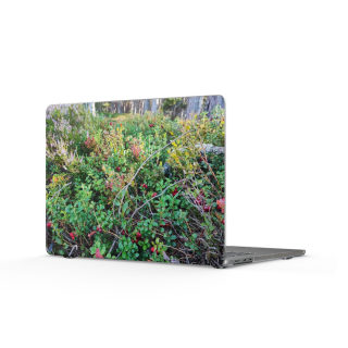 Forest Floor Berries MacBook Case | Nature Plant Photography
