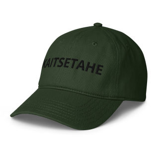 Low-profile baseball cap 3