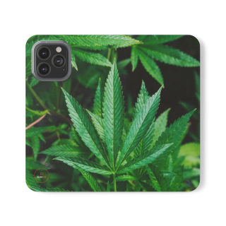 Marijuana leaf flip case 7