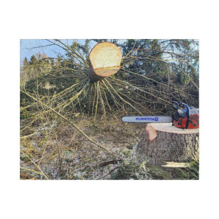 Chainsaw Cutting Tree Stump Puzzle | Woodcutting Scene Jigsaw