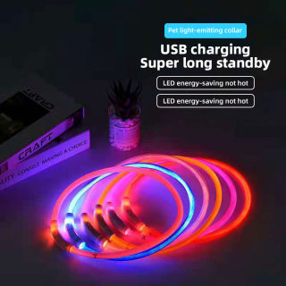 Luminous LED Dog Collar for Night Walks 4