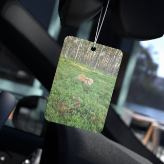 Dog in Forest Car Air Freshener | Woodland Scenery, Nature Scent 7
