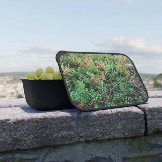 Wild Berry Forage PLA Bento Box with Band and Utensils | Nature Photo Lunchbox 4