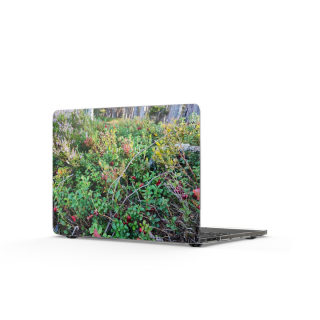 Forest Floor Berries MacBook Case | Nature Plant Photography 2