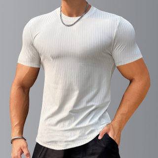 Men's Slim Fit Stretch Gym T-Shirt | Striped Quick-Dry Base Layer