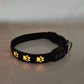 Rechargeable Luminous LED Paw-Print Dog Collar 5