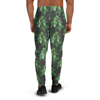 Men's joggers 2