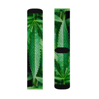 Cannabis leaf socks 10