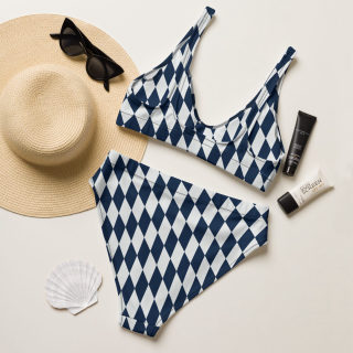 Recycled High-Waisted Bikini 4