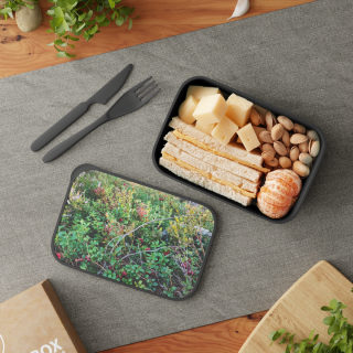 Wild Berry Forage PLA Bento Box with Band and Utensils | Nature Photo Lunchbox 5