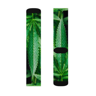 Cannabis leaf socks 8
