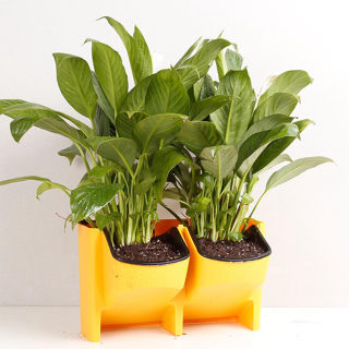 Self-Watering Stackable Vertical Planter | Wall-Hanging Garden Balcony Pot 4
