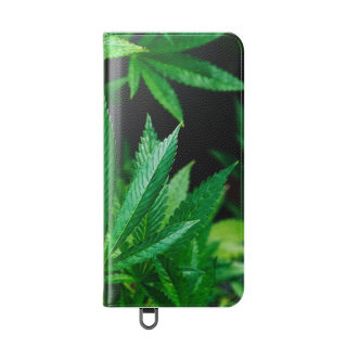 Marijuana leaf flip case 162