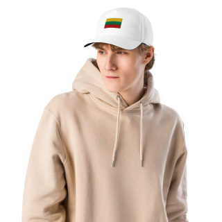 Adidas Dad Hat "Lithuanian Flag" 5