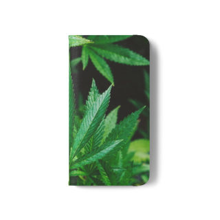 Marijuana leaf flip case 95
