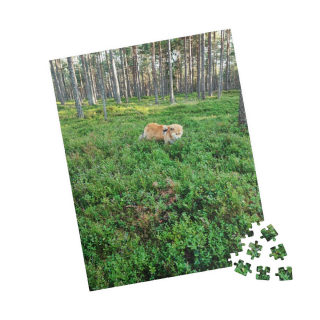 Fox in Mossy Forest Puzzle | Photo Jigsaw, 110–1014 pcs 3