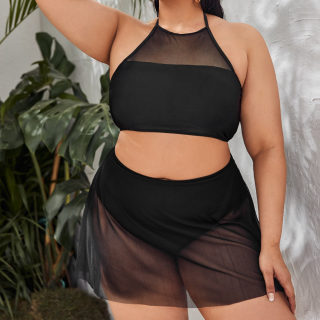 Plus Size Mesh bikini set 3