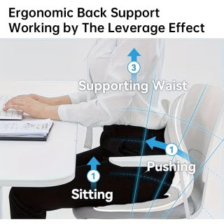 Ergonomic Lumbar Support Seat Cushion for Office Chairs 3