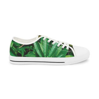 Green Succulent Print Men's Low-Top Sneakers | Aloe Plant Pattern 11