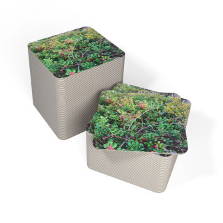 Wild Berry Nature Photo Coaster 8
