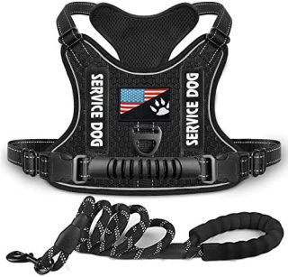 Shock-Absorbing Reflective Pet Chest Strap Harness | Night Vision Leash 2
