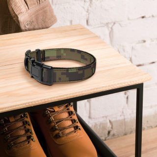 Pet Collar 3