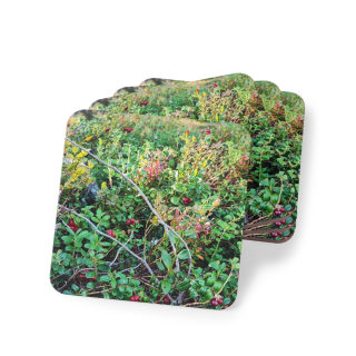 Wild Berry Foliage Coasters | Cork-Backed Round Drink Coasters 4